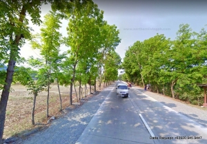 Corner Flat Lot for Commercial Use, Nat'l Hi-way, Bacnotan, La Union